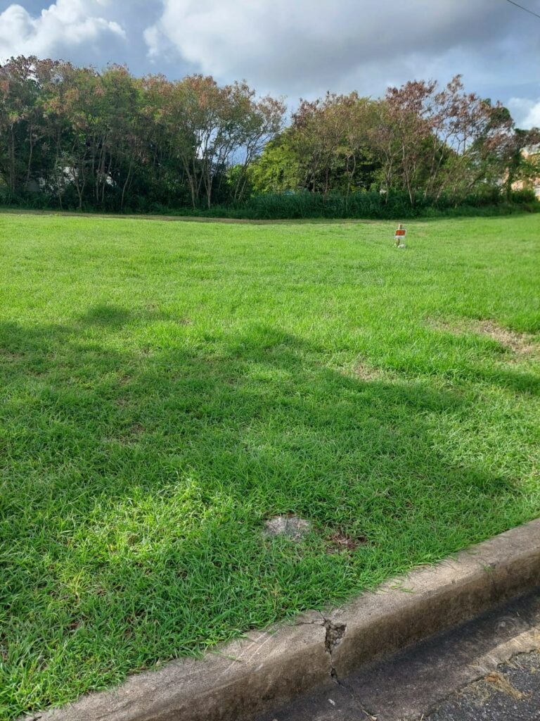 Land for Sale – Wanstead Heights, St. Michael